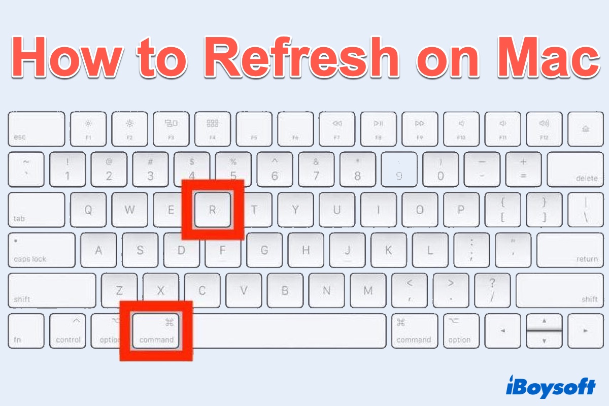Click the refresh button on your browser toolbar.
Press the F5 key on your keyboard.