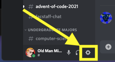 Open Discord and click on the gear icon in the bottom left corner to access User Settings.
Select the "Updates" tab on the left-hand side.