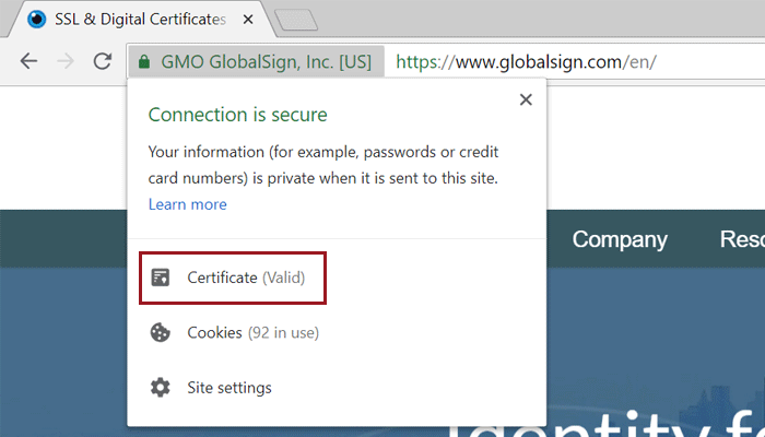 Open the website in the browser and view the SSL certificate
Click on the padlock icon or certificate details to view more information