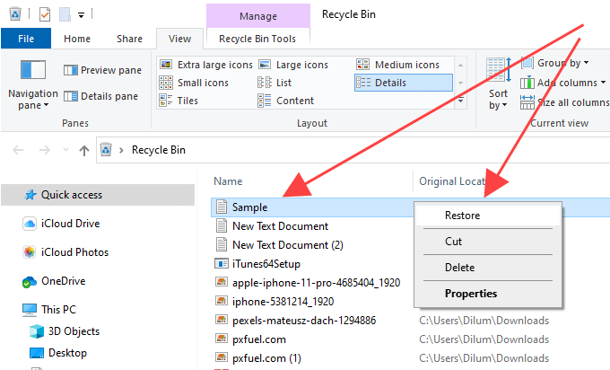 Right-click on the DLL file and select "Restore"
Exit the Recycle Bin